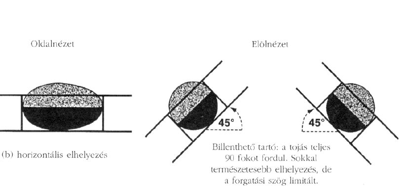 A tojás horizontális elhelyezése és forgatása (Minnaar, 2002 nyomán)